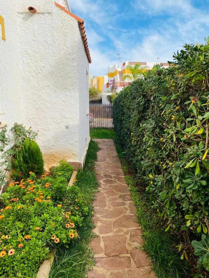 Villa Paula Alcossebre Mar Y Montana Eksteriør billede